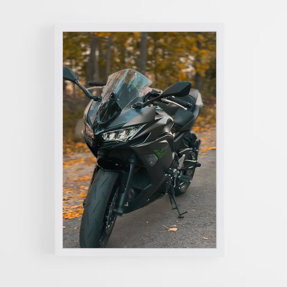 Poster Ninja Incroyable (vue 3)